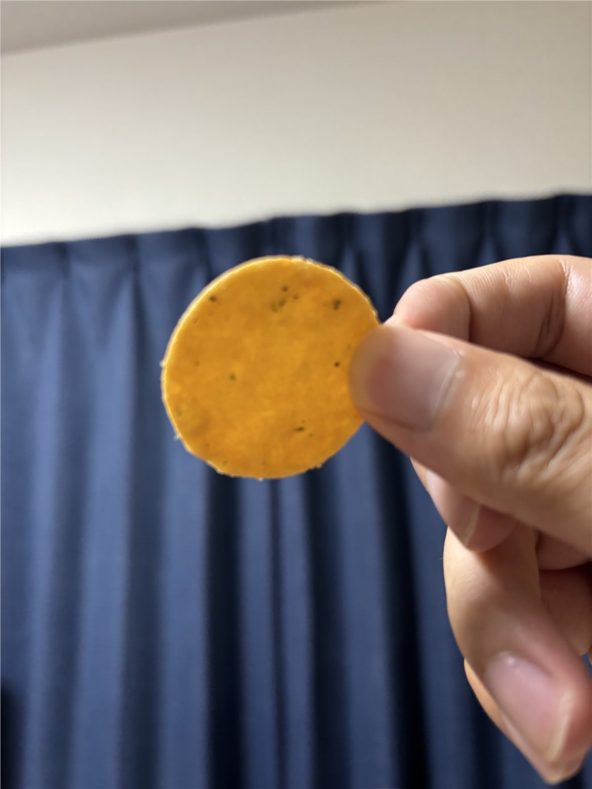 アンチョビとパセリの粒が見える薄焼きのライスチップス